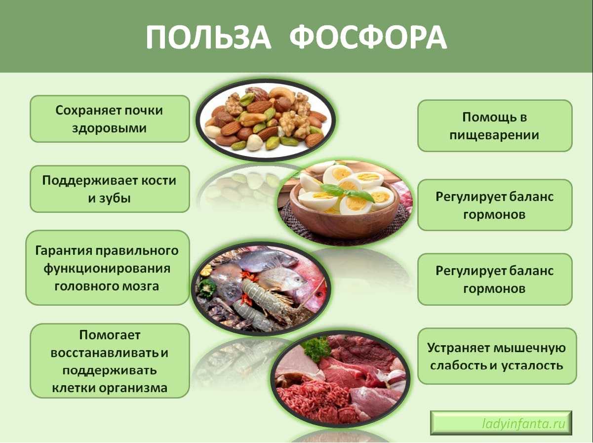 Фосфор » himege.ru