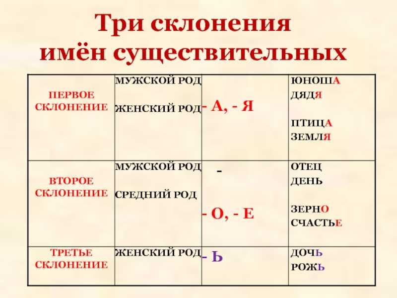 Склонение существительных