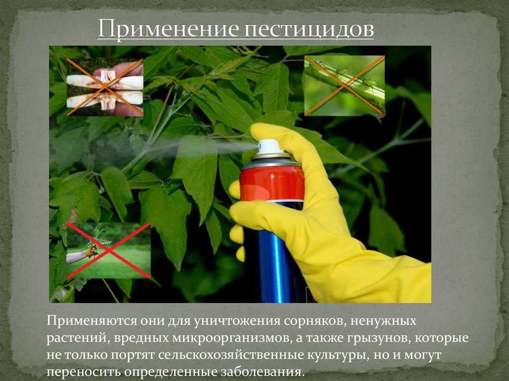Классы пестицидов и их применение в сельском хозяйстве
