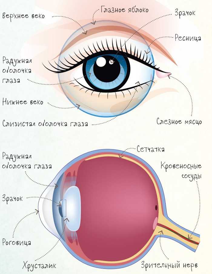 Болят глаза. боли глаз, век, покраснение глаз, боли в глазу при головных болях, чувство давления на глаза. что делать при этих симптомах?