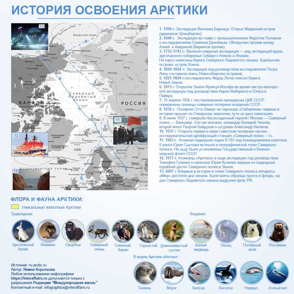 Ительменская языковая группа [южная чукамчатская, камчадальская]