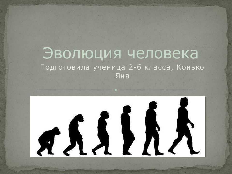 Как произошла эволюция человека. этапы эволюции человека