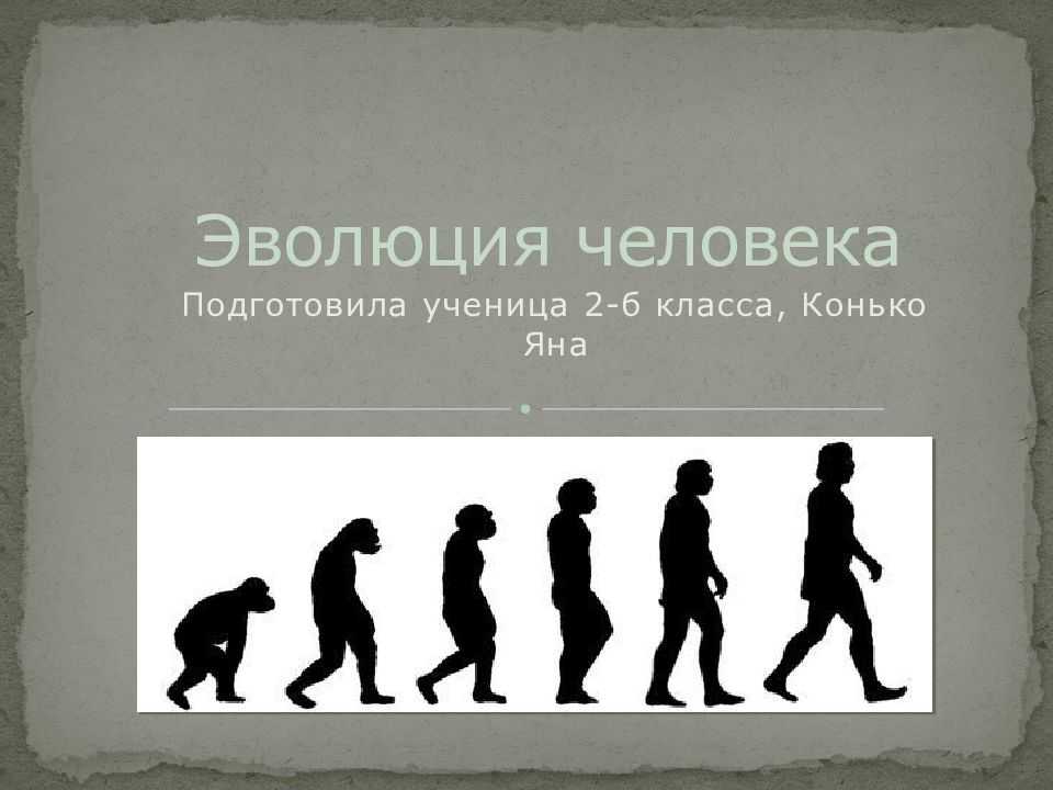 В чем проявляется развитие человека. Эволюция человека. Этапы развития человека. Эволюция развития человека. Развитие ЧЕЛОВЕКАЧЕЛОВЕК.