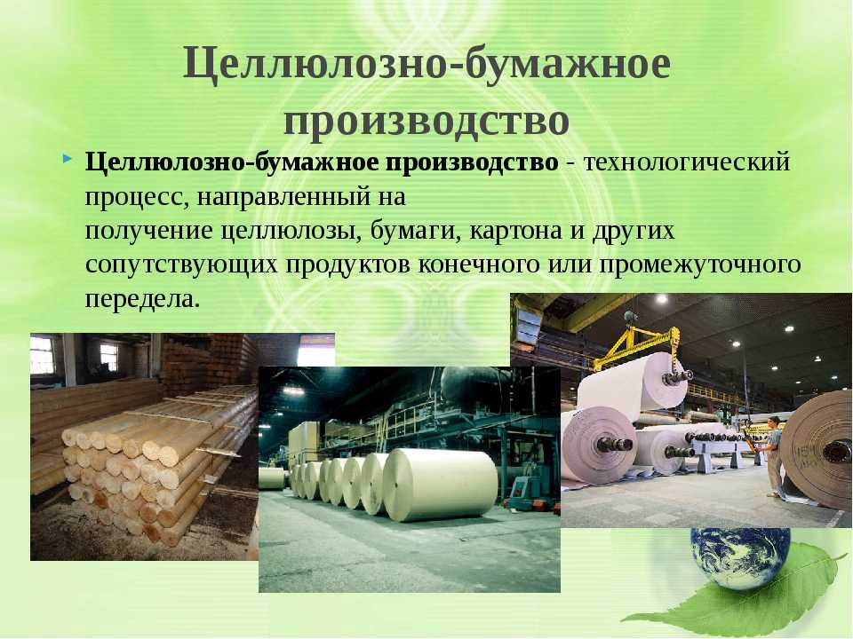 Сырье которое используется для производства целлюлозы. Целлюлозно-бумажная промышленность. Производство бумаги. Целлюлоза для производства бумаги. Продукция целлюлозно-бумажной отрасли.