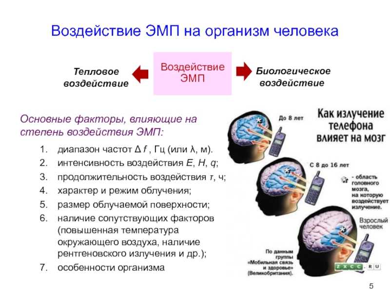 Электромагнитное излучение — воздействие на человека