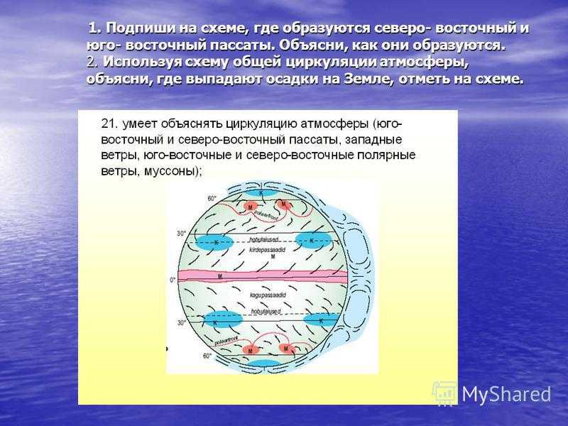 Как образуются ветры западных широт. Схема глобальной циркуляции атмосферы. Схема общей циркуляции атмосферы. Северо Восточный Пассат. Общая циркуляция атмосферы. Пассаты и Муссоны.