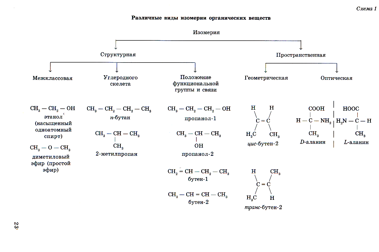 Структурная и пространственная изомерия органических соединений