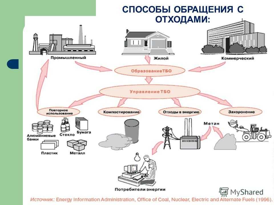 7 способов переработки мусора в россии и мире