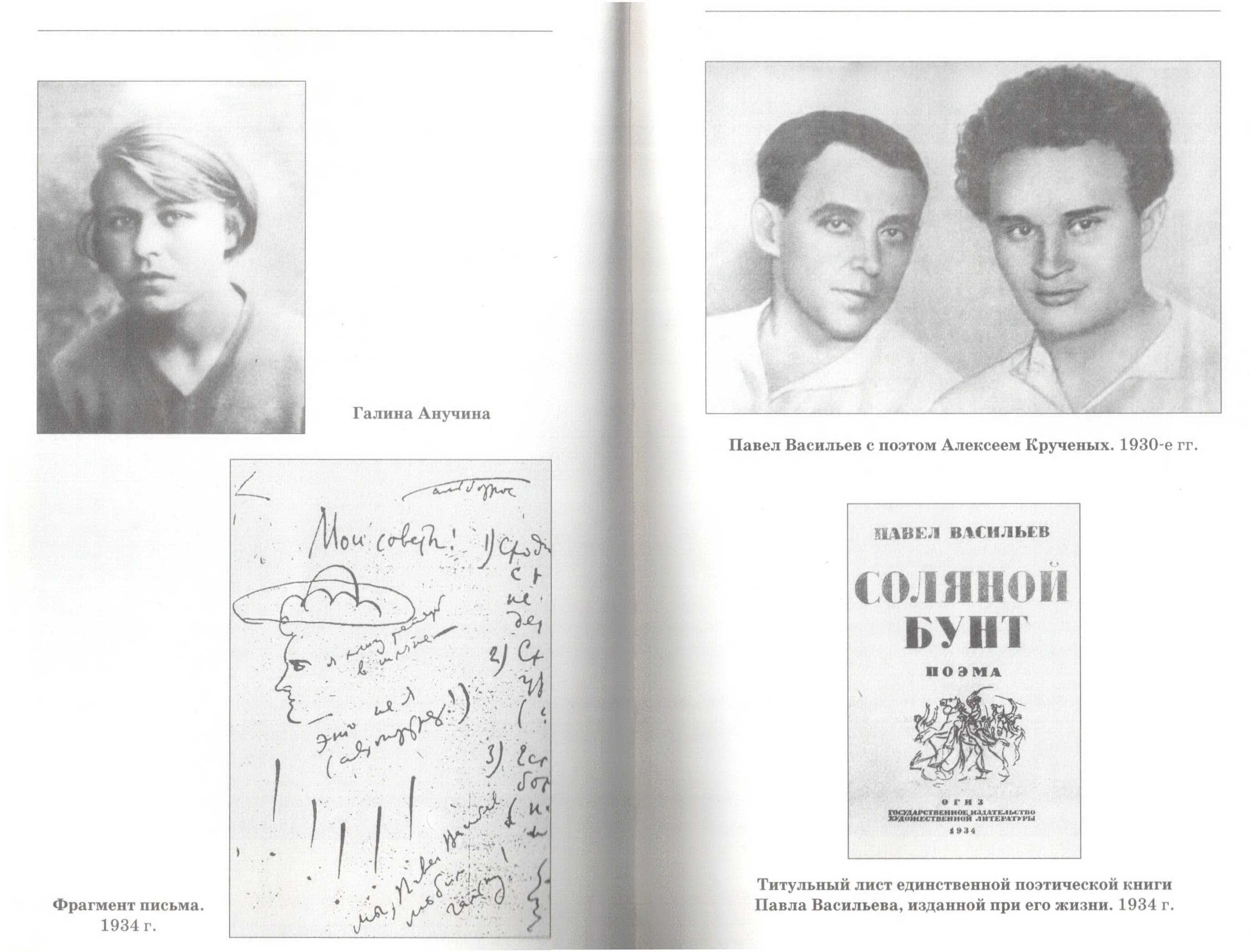 Павел николаевич васильев — биография поэта