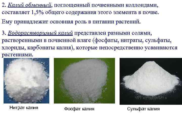 Природное соединение калия. Калий в природе соединения. Химический состав калия. Формы калия. Калий натрий обмен.