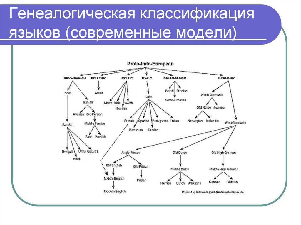 Основания классификации языков