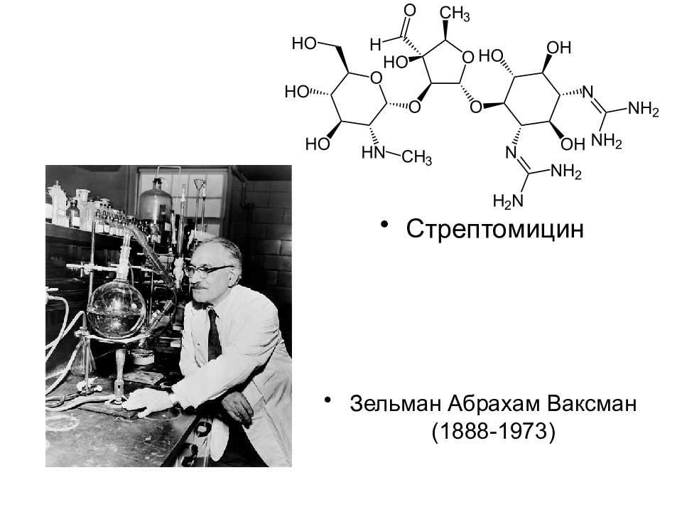 Селман абрахам ваксман - abcdef.wiki