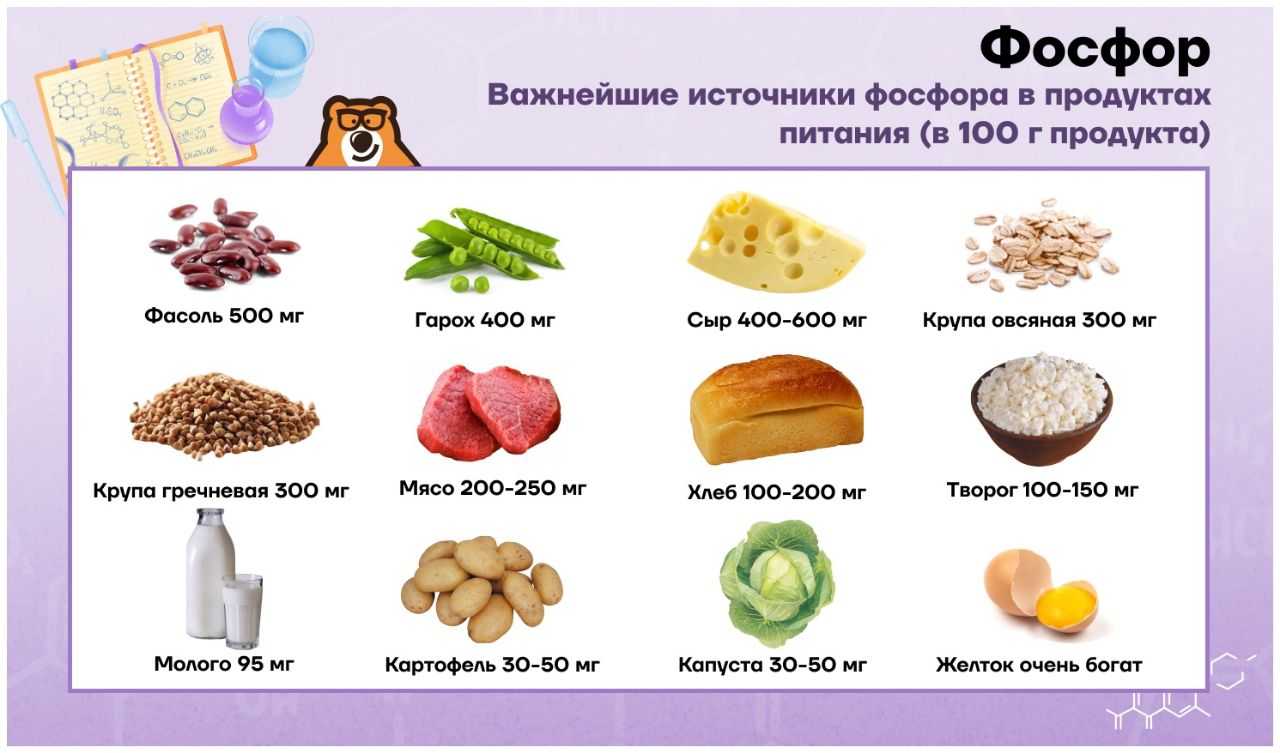 Фосфор: просто и понятно о физических и химических свойствах, применении, влиянии на организм