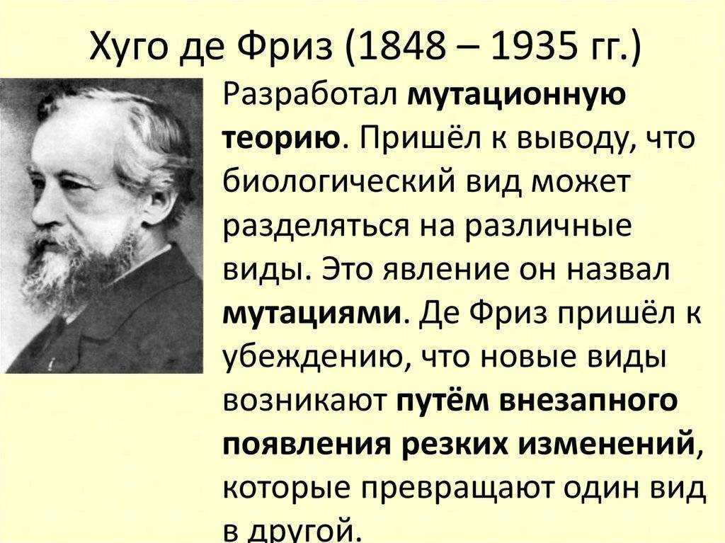 Гуго де фриз. Хуго де фриз. Хуго де фриз вклад в биологию. Хуго де фриз (1848 – 1935) - голландский ученый.