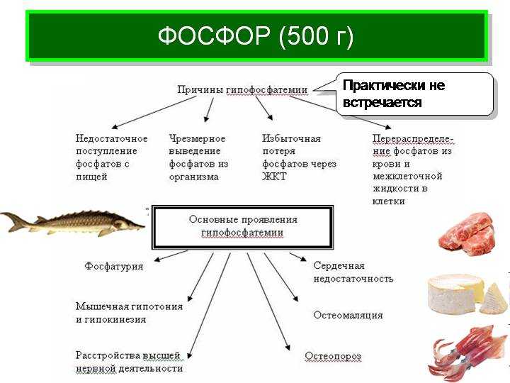 Фосфор в продуктах