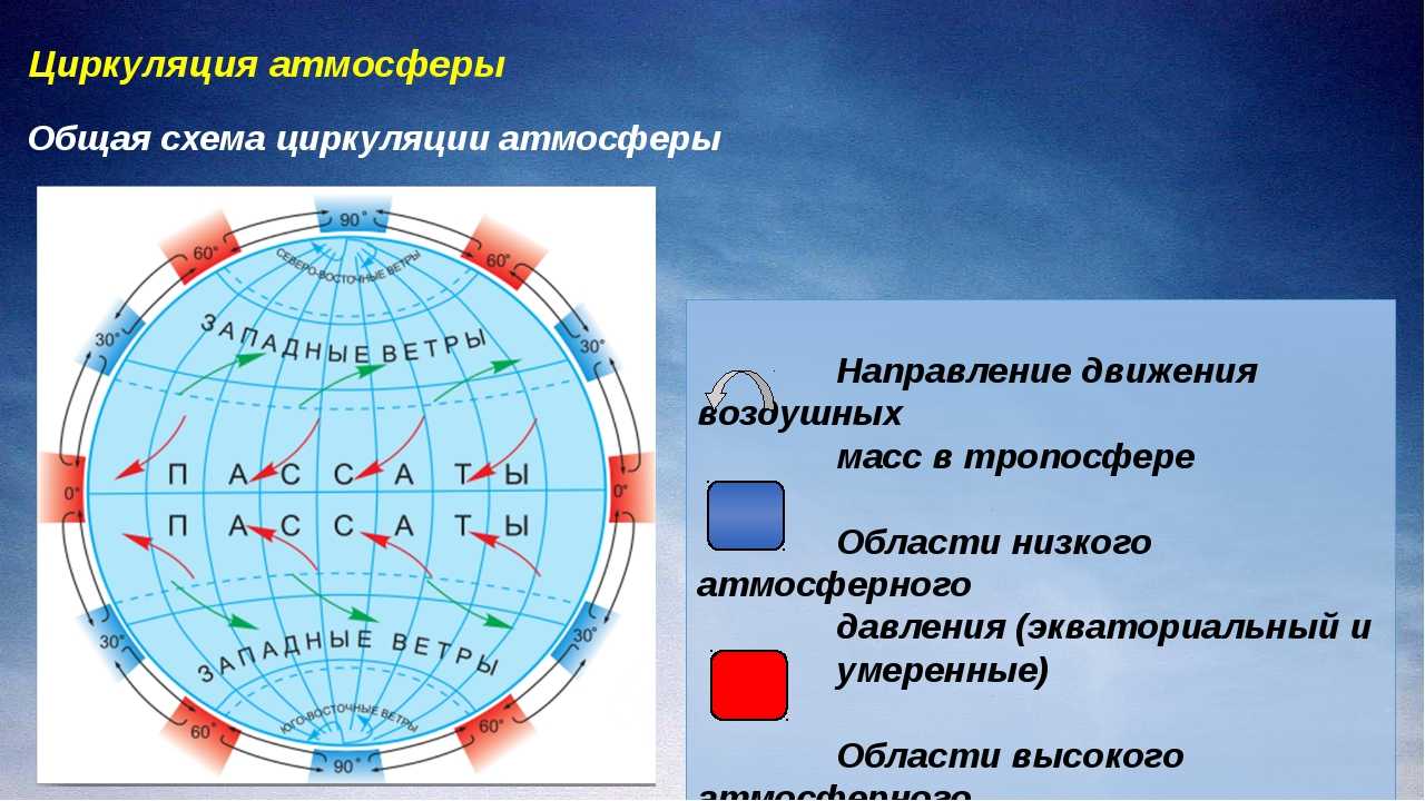 Направление пассатов в северном. Схема глобальной циркуляции атмосферы. Схема общей циркуляции атмосферы на земле. Циркуляция атмосферы это 6 класс. Циркуляция атмосферы 8 класс.