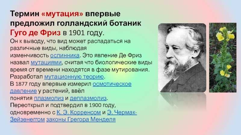 Де фриз, хуго — вики