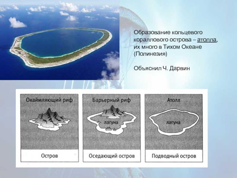 Почему тропические острова имеют форму колец? - hi-news.ru