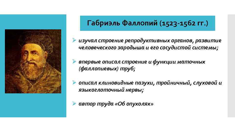 Выдающиеся анатомы хv–хvi веков и их вклад в мировую науку | статья в журнале «педагогика высшей школы»