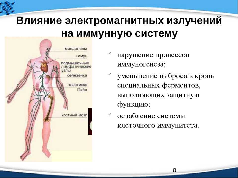 Презентация на тему воздействие магнитного поля на человека