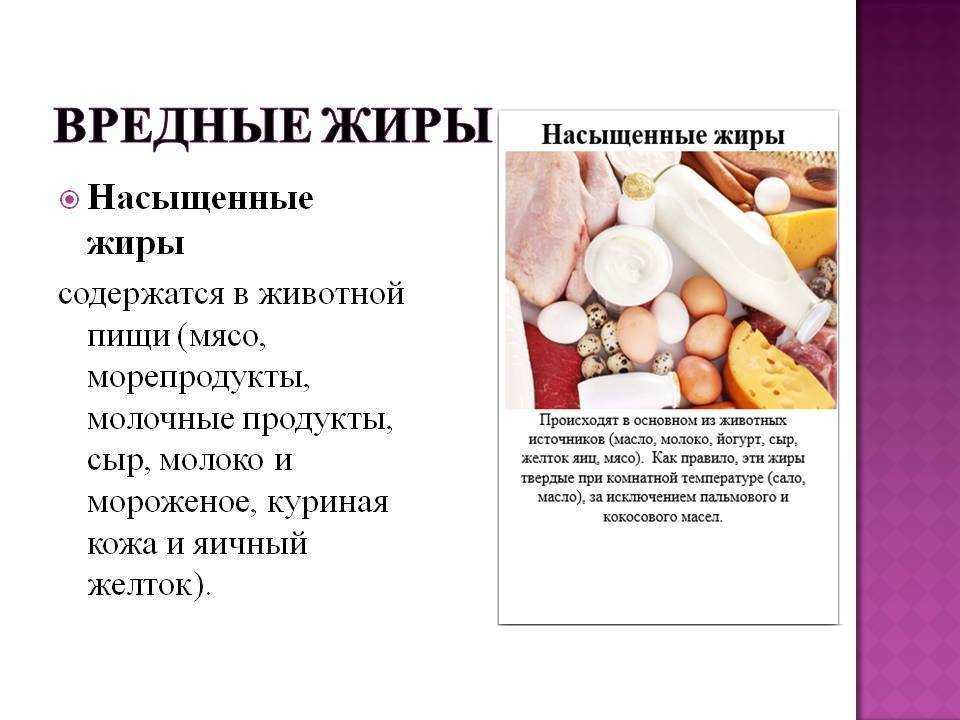 Жир — состав, свойства и роль в диете | университетская клиника