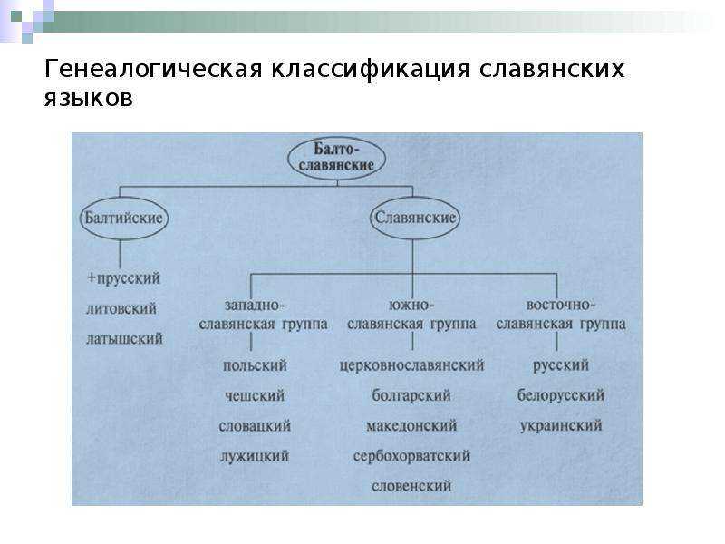 Генеалогическая классификация языков презентация