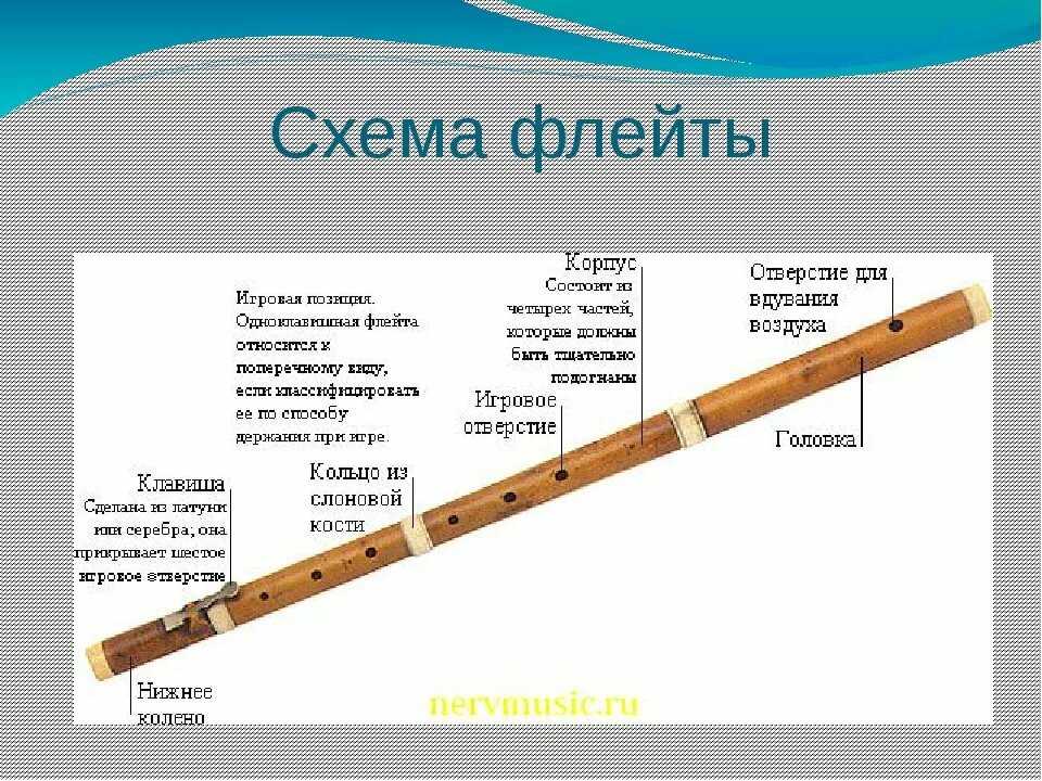 Гобой: что это такое, история происхождения, устройство, звучание, разновидности, интересные факты