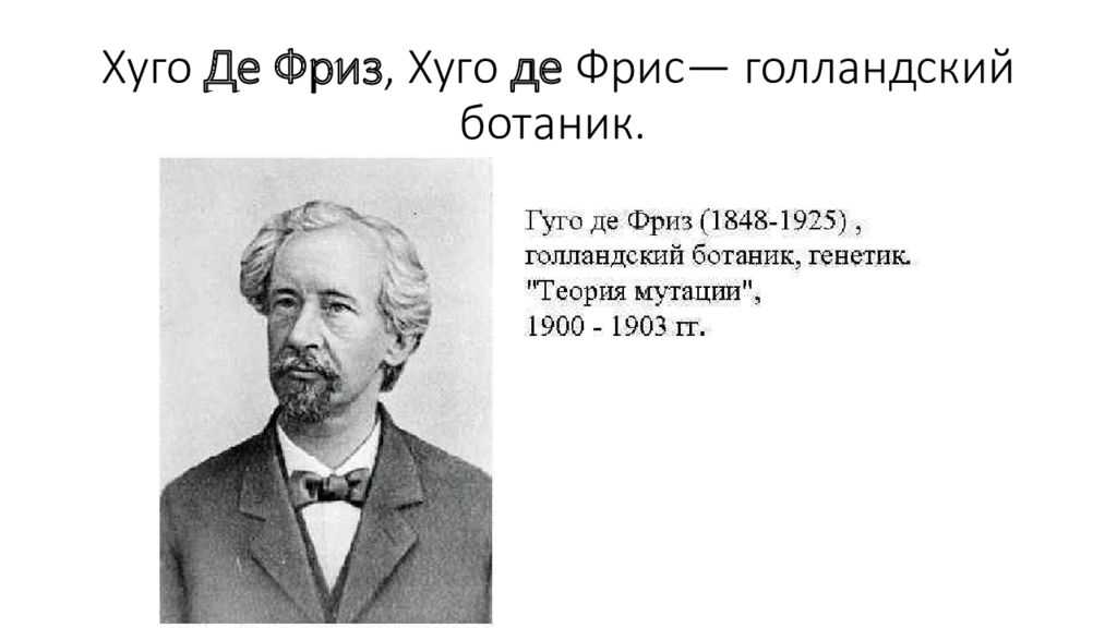 Хуго де фриз. Хуго де фриз нидерландский ботаник. Хуго де фриз фото. Грегор Химик.