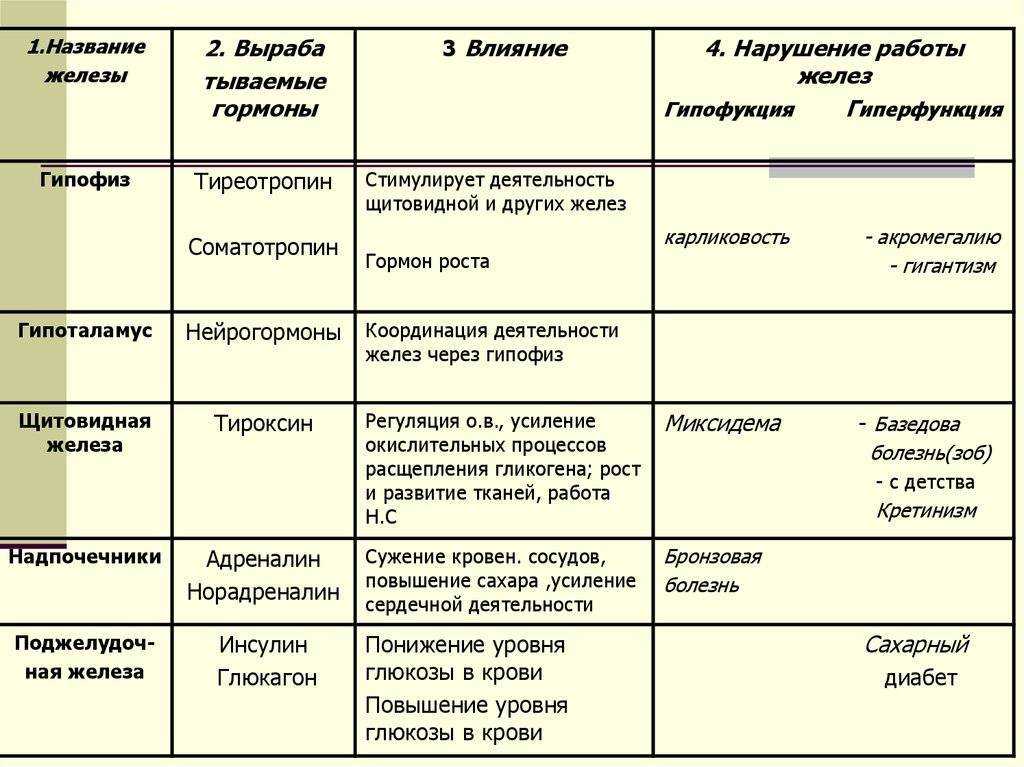 Строение и функции желез внутренней секреции презентация 8 класс