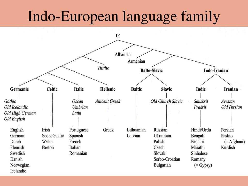 Language names. Indo European languages Tree. Indo European language Family Tree. Indo European языки. Генеалогическая классификация.