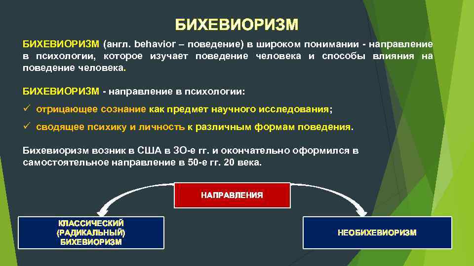 Бихевиоризм в психологии – представители, направления, теория