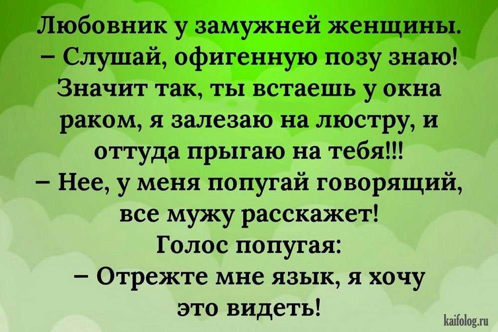 Анекдоты дня — самые смешные до слез (свежие)