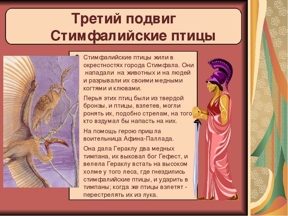 Глава шестая геракл: величайший из героев. путеводитель по греческой мифологии