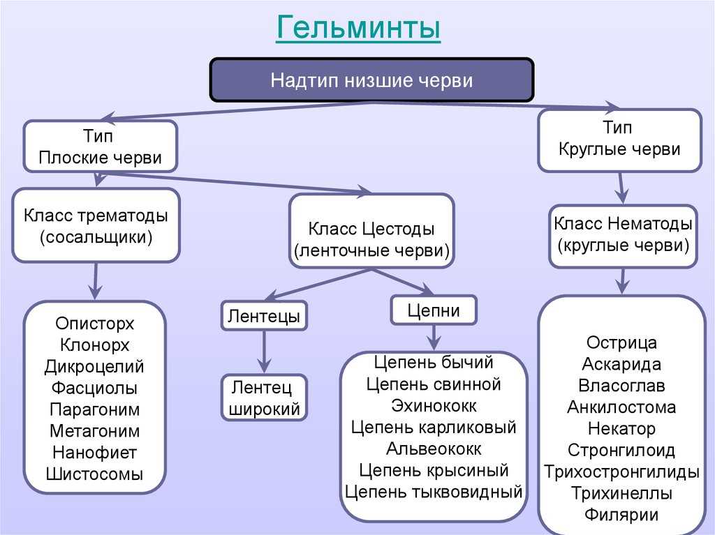 Гломерулонефрит: перенесли инфекцию – срочно проверьте почки