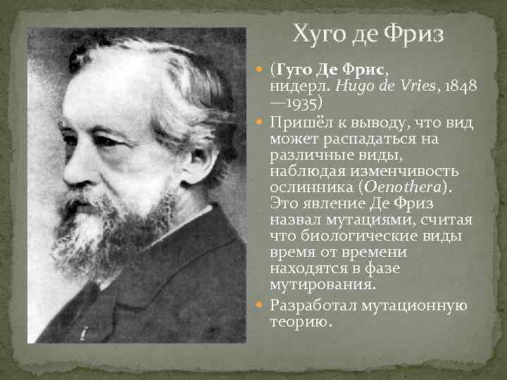 Де фриз, хуго - wiki