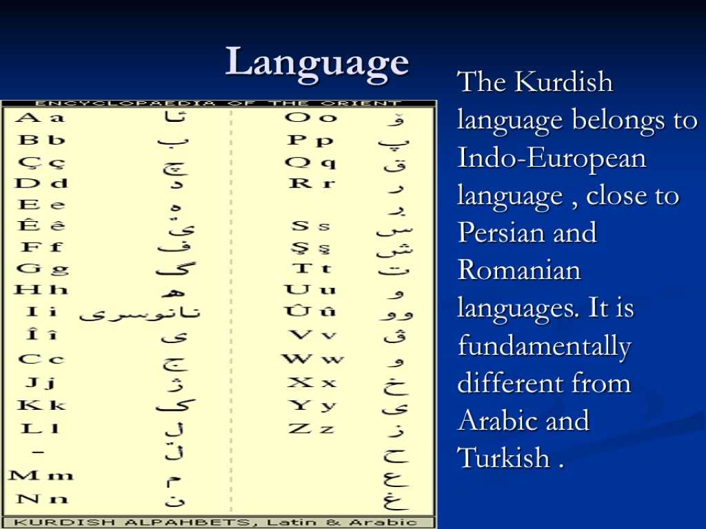 Курдский язык