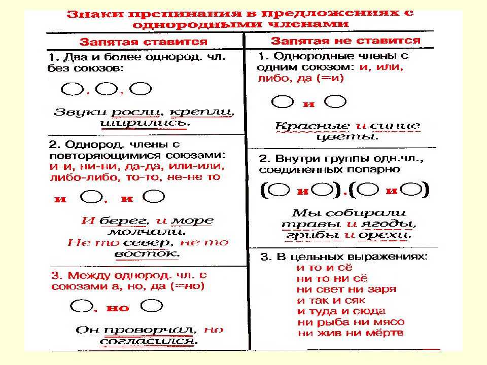 Разбор предложения по членам
