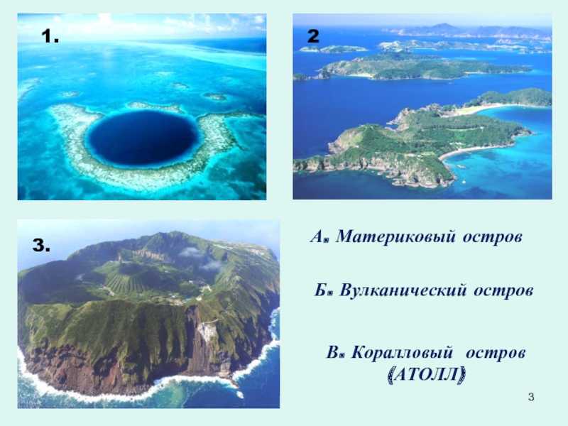 Что такое атоллы в биологии: атолловые острова