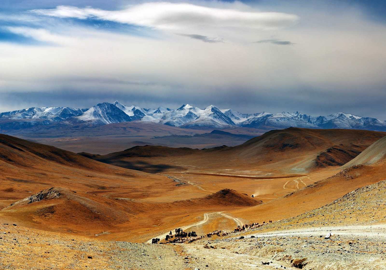 Монголия: информация о стране
