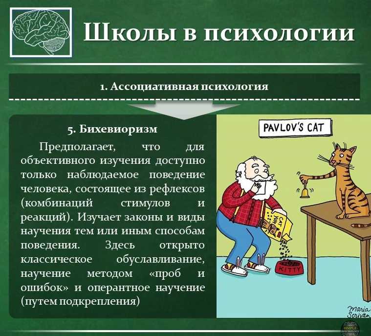 Бихевиоризм