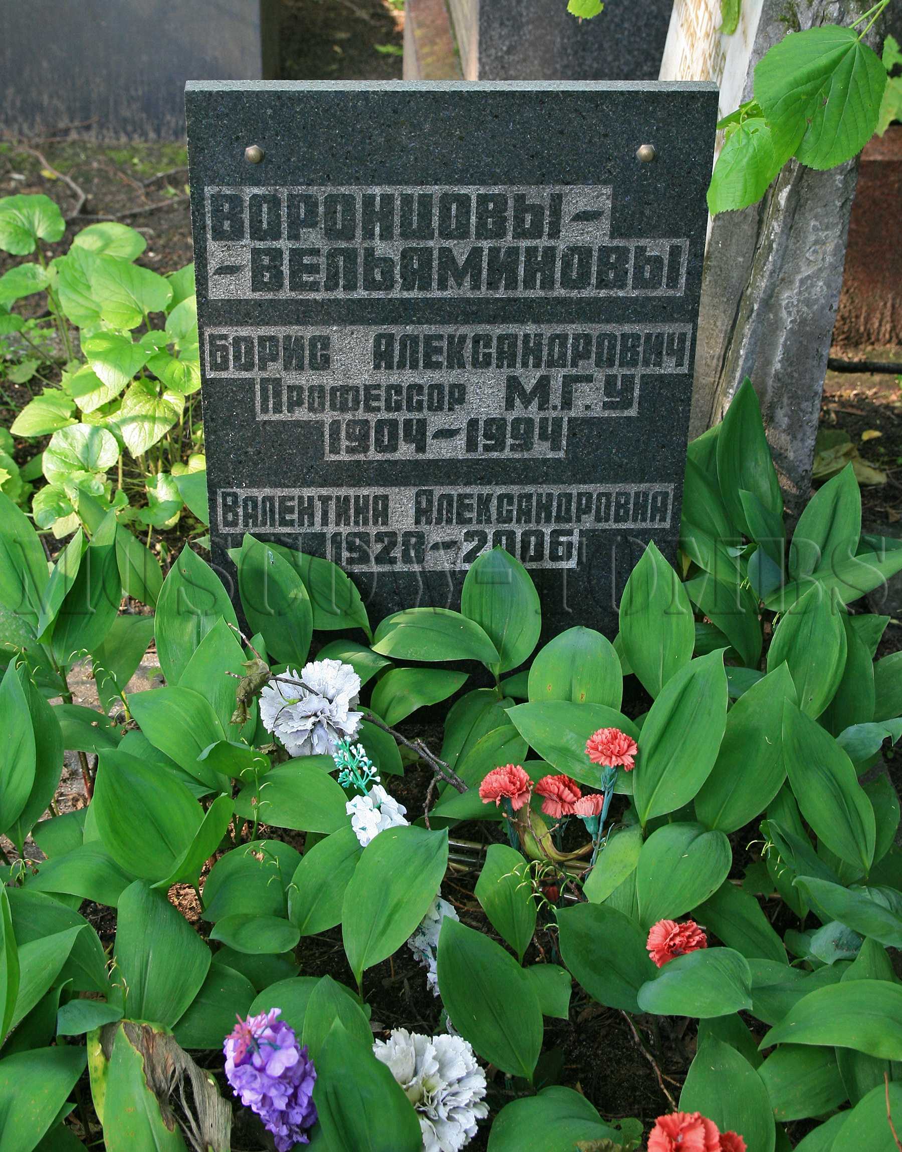 Астрономия 11 класс. воронцов-вельяминов. онлайн учебник