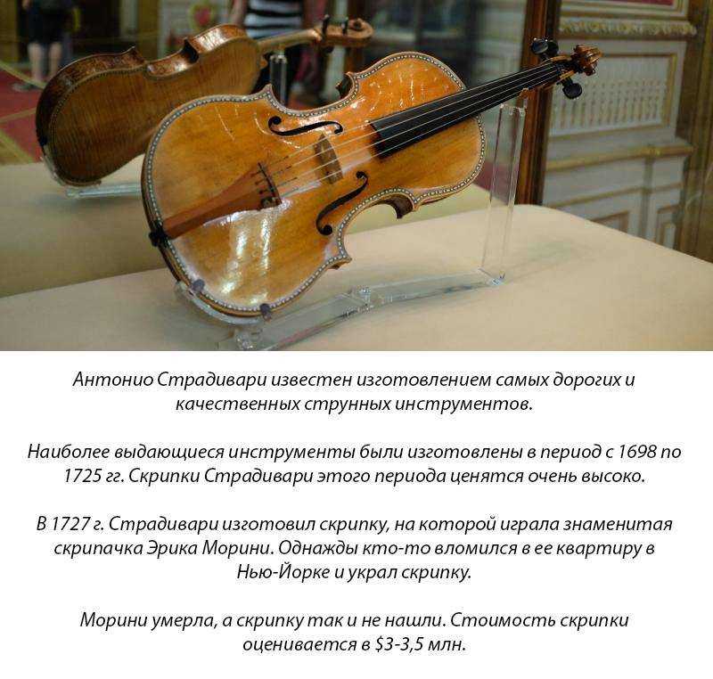 Мастер класс скрипки
