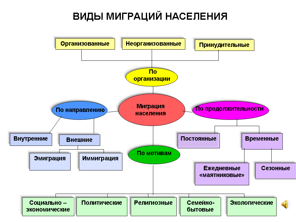 Виды миграции животных схема