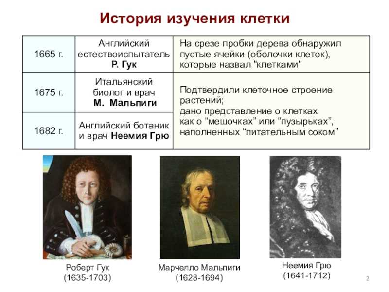 Грю вклад в биологию. значение грю, неемия в словаре кольера