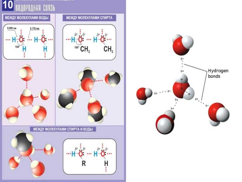 Водородная примеры веществ. Схема образования водородной связи между молекулами воды. Водородная химическая связь схема. Водородная связь между молекулами воды схема. Схема образования водородной связи между молекулами спирта и воды.