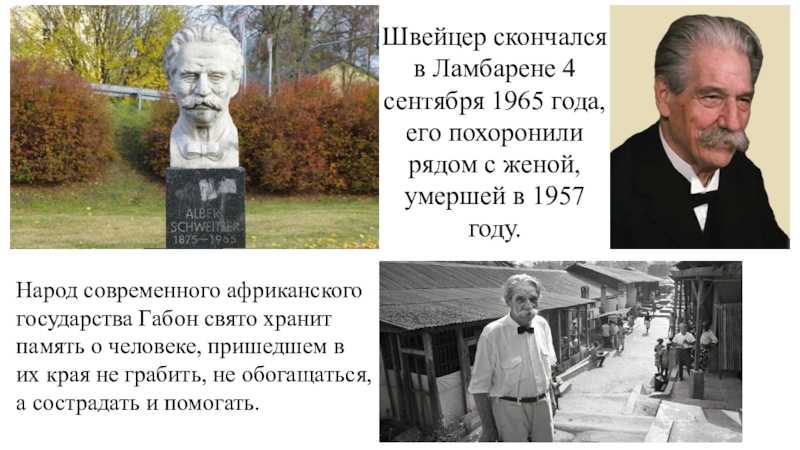 Альберт швейцер — циклопедия