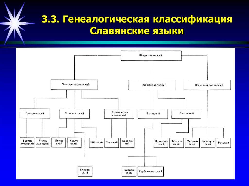 Генеалогическая классификация языков презентация