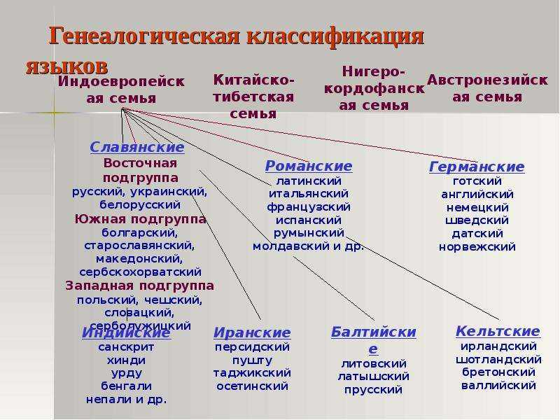 Языковые семьи и языковые группы.