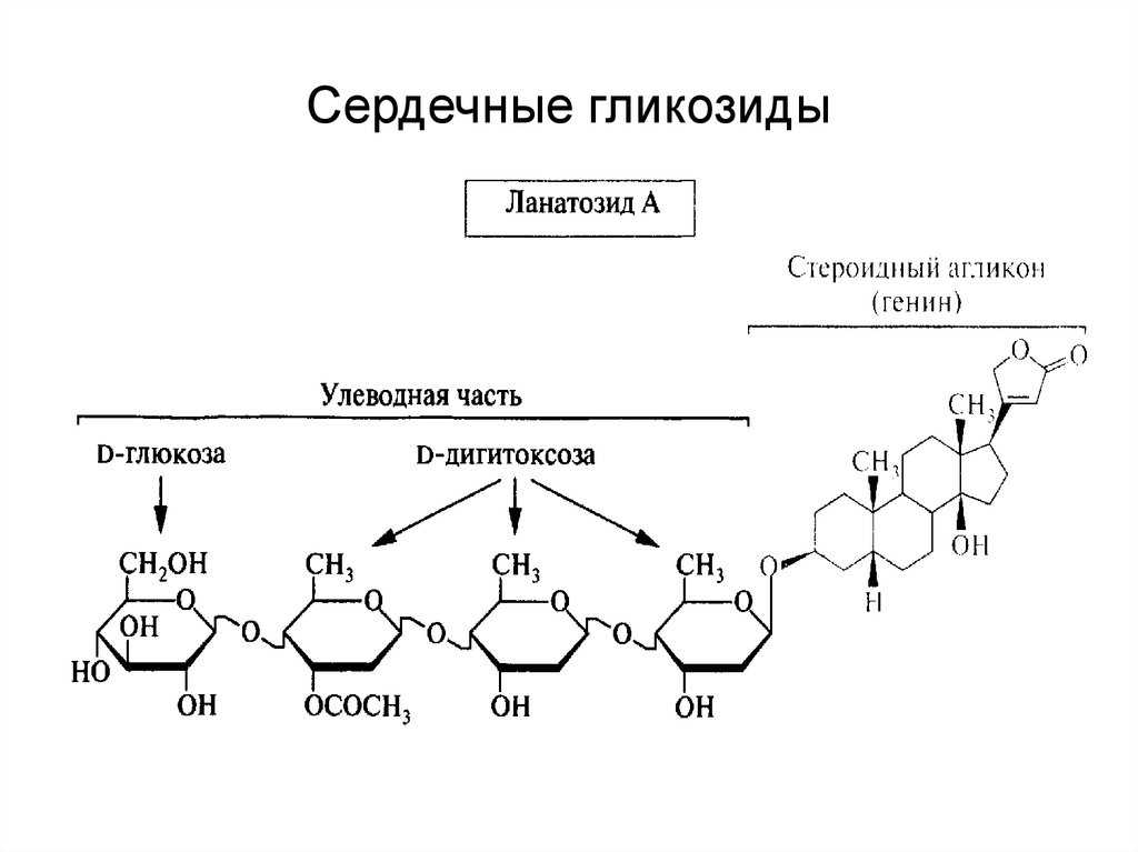Медикаментозное лечение ишемической болезни сердца