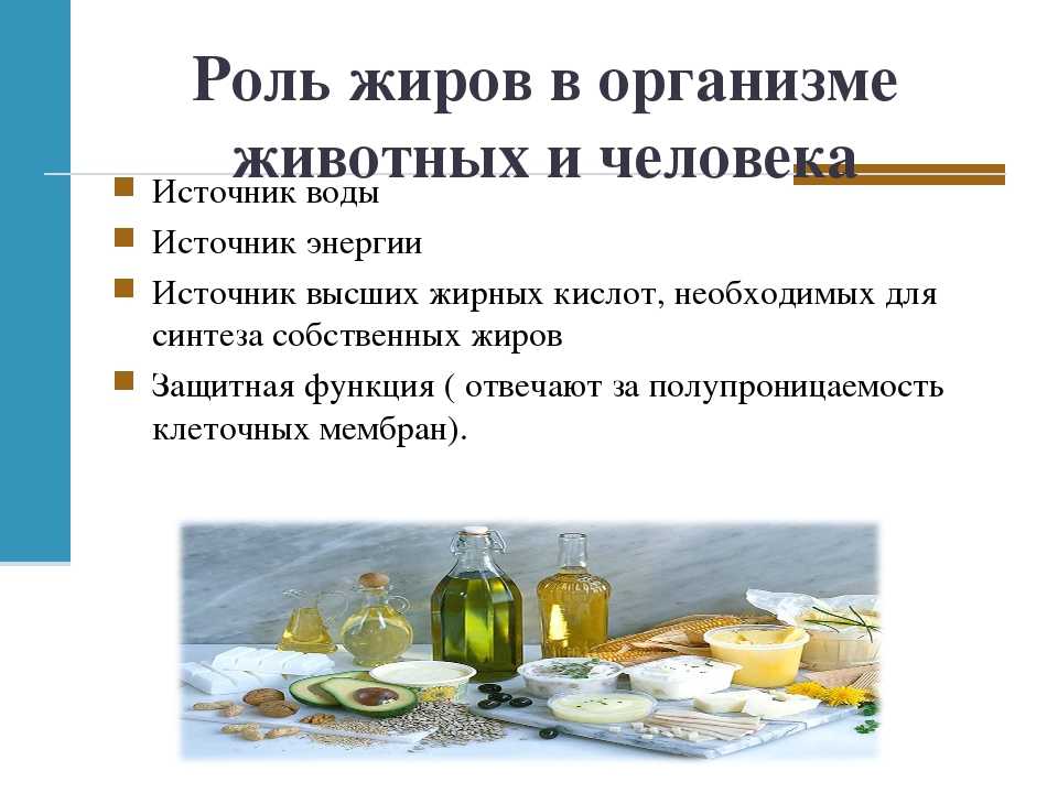 Самые полезные жиры: список продуктов